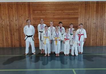 KARATE KLUB “VINKOVCI” OSVOJIO 20 ODLIČJA NA 4. KOLU LIGE