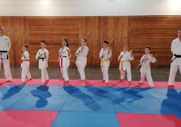 KARATE KLUB “VINKOVCI” OSVOJIO 12 ODLIČJA NA 6. KOLU LIGE