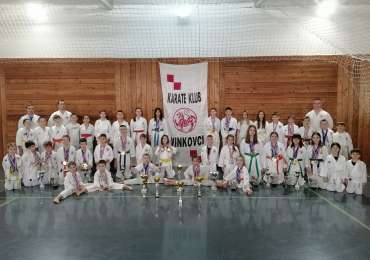 REKORDNA GODINA KARATE KLUBA VINKOVCI
