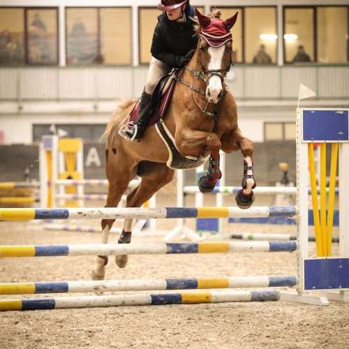 Fantastičan nastup mlade Vinkovčanke Tie Lovrić na Batida zimskom kupu